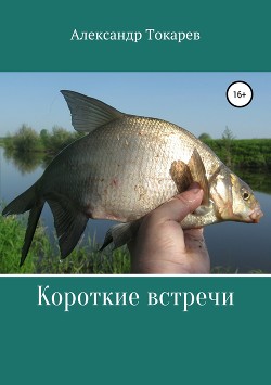 Читать книгу Короткие встречи