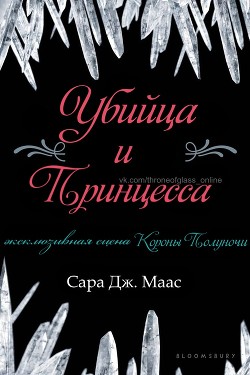 Убийца и принцесса (ЛП) - Маас Сара