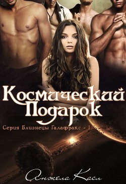 Космический подарок (ЛП) - Касл Анжела