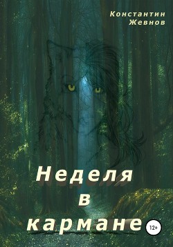 Неделя в кармане (СИ) - Жевнов Константин Александрович