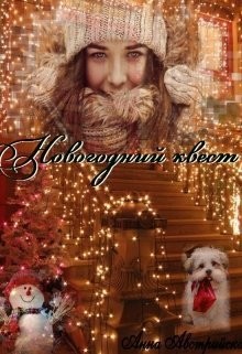 Новогодний квест (СИ) - Австрийская Анна