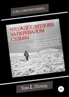 Что ждёт Дятлова за перевалом судьбы. Том 1. Поход - Риторина Алессия