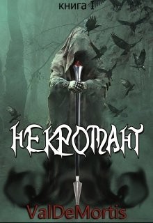 Искра Эллириона. Книга I Некромант (СИ) - "ValDeMortis"