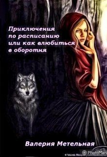 Приключения по расписанию, или как влюбиться в оборотня (СИ) - Метельная Валерия