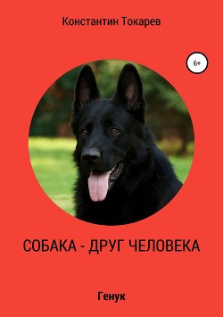 Собака – друг человека - Токарев Константин