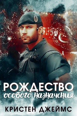 Рождество особого назначения (ЛП) - Джеймс Кристен
