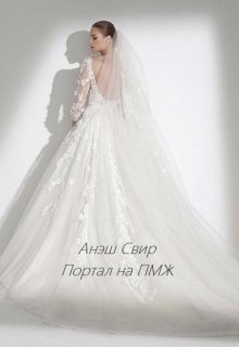 Портал на ПМЖ (СИ) - "Анэш Свир"