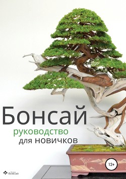 Бонсай – руководство для начинающих - бонсай Империя