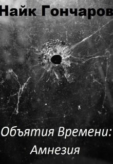Объятия времени. Амнезия (СИ) - Гончаров Найк "Виолеттер"