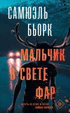 Мальчик в свете фар - Бьорк Самюэль