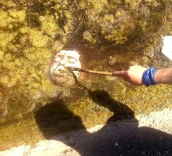 Читать книгу Голова (СИ)