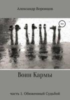Воин Кармы. Часть 1. Обиженный Судьбой - Воронцов Александр Евгеньевич