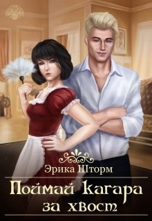 Поймай кагара за хвост (СИ) - Шторм Эрика