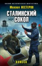 Сталинский сокол. Комэск - Нестеров Михаил Петрович