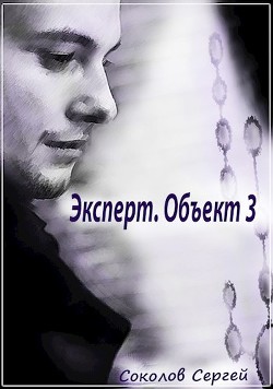 Эксперт. Объект 3 (СИ) - Соколов Сергей
