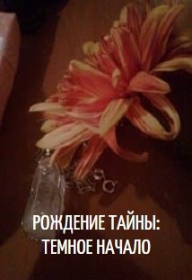 Рождение Тайны: Темное начало (СИ) - "Вайли"