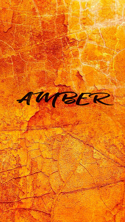 Amber - Саливан Виктория "AmberBader"