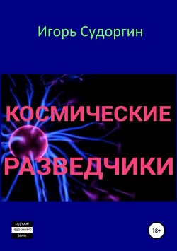 Космические разведчики (СИ) - Судоргин Игорь Вячеславович