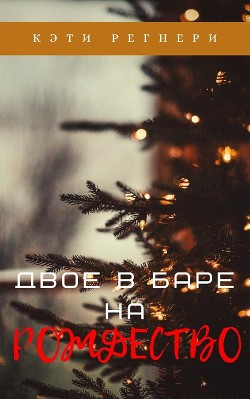 Двое в баре на Рождество (ЛП) - Регнери Кэти