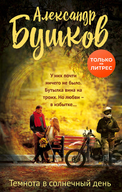 Читать книгу Темнота в солнечный день