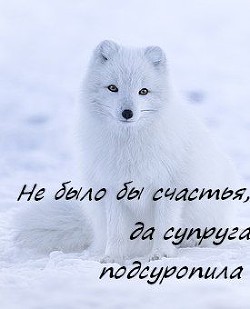 Не было бы счастья, да супруга подсуропила - Заверин Стэн