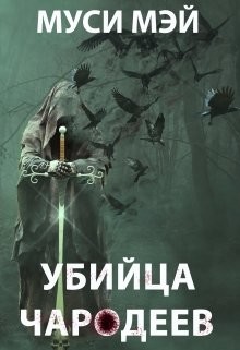 Убийца чародеев (СИ) - Лис Алекс "Муси Мэй"
