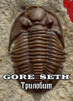 Трилобит (СИ) - "Gore Seth"