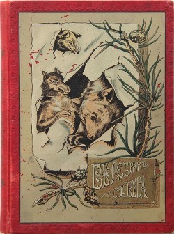 В дебрях Севера (Приключения волка, медведя и лисицы) - Гранстрем Эдуард Андреевич
