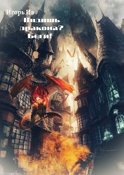 Видишь дракона? Беги! (СИ) - Ив Игорь