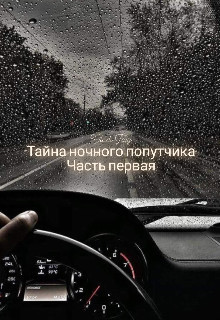 Тайна ночного попутчика (СИ) - Фэй Влади