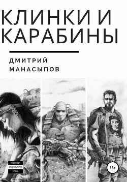 Читать книгу Клинки и карабины (СИ)