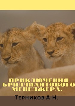 Читать книгу Приключения бриллиантового менеджера (СИ), автор Терников Александр Николаевич Приключения бриллиантового менеджера (СИ) - Терников Александр Николаевич