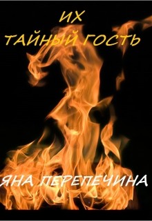 Их тайный гость (СИ) - Перепечина Яна