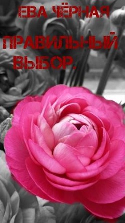 Правильный выбор (СИ) - Черная Ева Л. "Черная Ева"