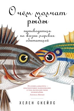 О чём молчат рыбы. Путеводитель по жизни морских обитателей - Скейлс Хелен