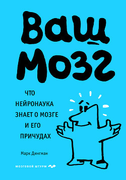 Ваш мозг. Что нейронаука знает о мозге и его причудах - Дингман Марк