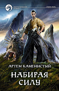 Набирая силу (СИ) - Каменистый Артем