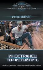 Иностранец. Тернистый путь - Шелег Игорь Витальевич