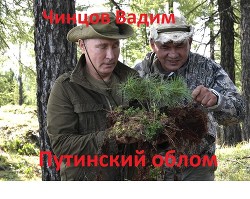 Путинский облом - Чинцов Вадим Владимирович