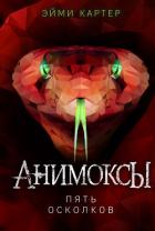 Читать книгу Пять Осколков, автор Картер Эйми Пять Осколков - Картер Эйми