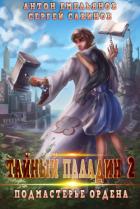 Тайный паладин 2. Подмастерье ордена - Савинов Сергей Анатольевич
