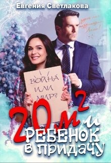 Читать книгу Двадцать квадратов и ребенок в придачу! (СИ)