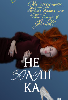Не Золушка (СИ) - Богушева Екатерина