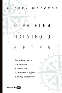 Стратегия попутного ветра. Как обнаружить или создать асимметрии, способные придать бизнесу ускорени - Шолохов Андрей Борисович