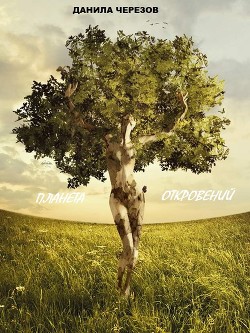 Читать книгу Планета откровений (СИ), автор Черезов Данила Алексеевич Планета откровений (СИ) - Черезов Данила Алексеевич