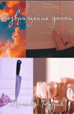 Читать книгу Возвращение домой (СИ), автор Рудик Толика Возвращение домой (СИ) - Рудик Толика