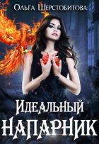 Читать книгу Идеальный напарник