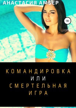 Командировка (СИ) - Амбер Анастасия