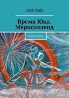 Время Юка. Мерисолленд. Тайна круга (СИ) - Май Лия