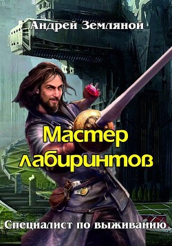Читать книгу Мастер лабиринтов (СИ)